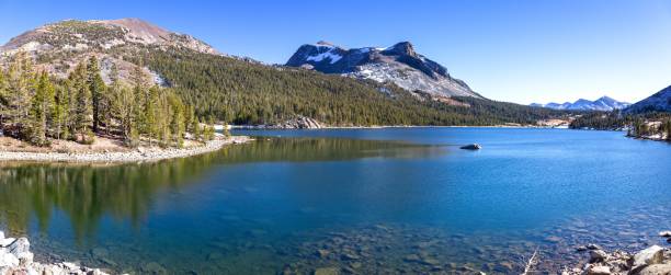 lago tioga acqua blu limpida trasparente, dana granito picco di montagna - panoramic california mountain range southwest usa foto e immagini stock