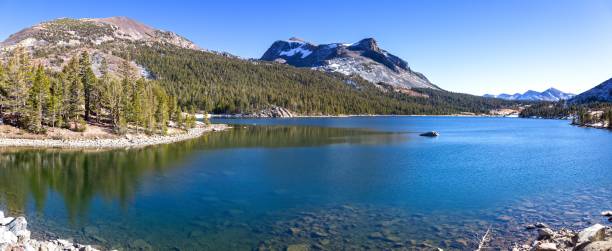 티오가 호수 투명 맑고 푸른 물, 다나 화강암 산 봉우리 - panoramic california mountain range southwest usa 뉴스 사진 이미지