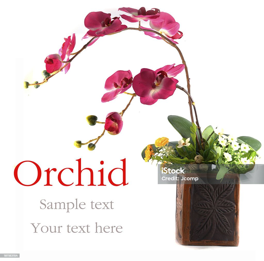 orchid en un florero - Foto de stock de Amarillo - Color libre de derechos