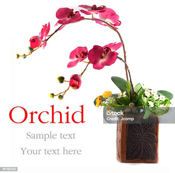 Orchid En Un Florero Foto de stock y más banco de imágenes de Amarillo - Color - Amarillo - Color, Cabeza de flor, Colorido