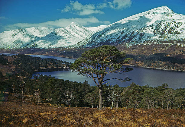 istock Glen & Loch Affric & Mam Sodhail Scotland 181187892