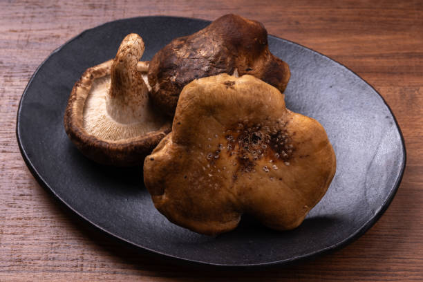 istock Shiitake mushrooms (non-standard) 1811902383