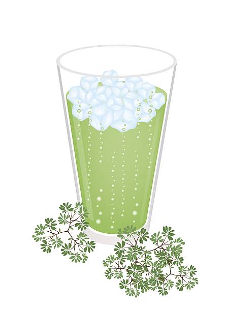 ilustrações de stock, clip art, desenhos animados e ícones de copo de chá verde com cubo de gelo - tea cup tea green tea chinese tea