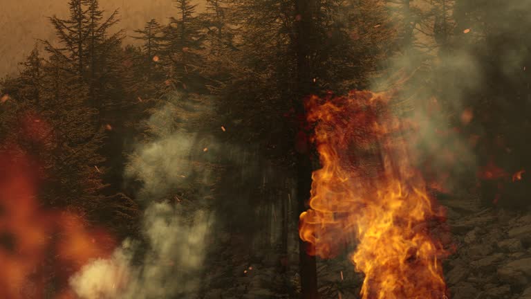 Wildfire on mountain in Turkey