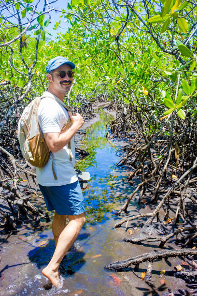istock happy trail in the mangrove 1811922834