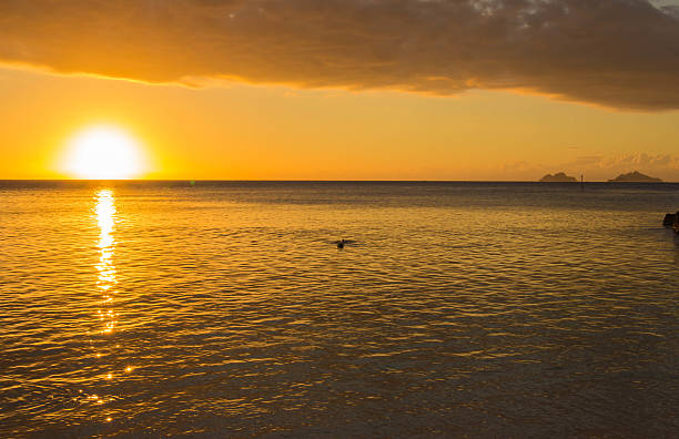 istock Sunset in the Pacific Ocean 181194027
