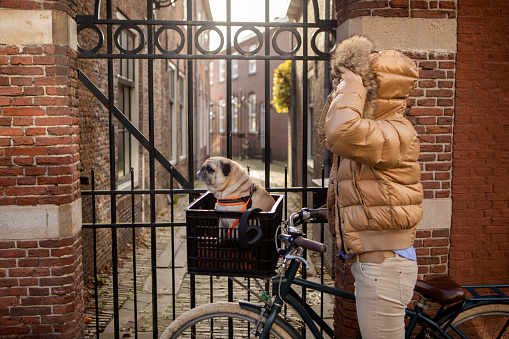 A beautiful blonde woman travelling with a dog on the bike in the Netherlands on a beautiful sunny day