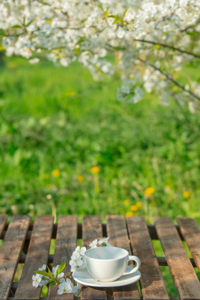 Cup on a table next to blooming tree in a spring garden