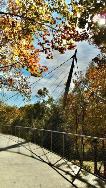 Photo of one of two twin towers of the liberty bridge at falls park on the reedy is surrounded by colorful fall foliage in historic downtown greenville.