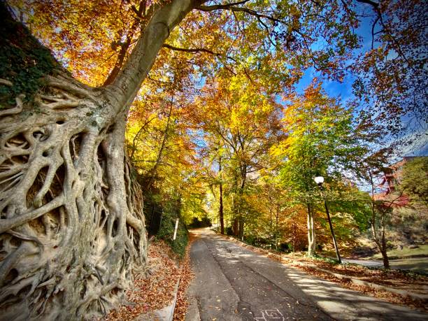 photographing the historic city of greenville, south carolina - u.s.a.
