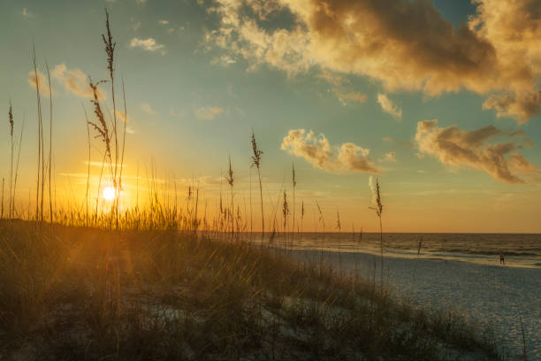 istock Sun Rising Over Florida Beach 1811976185