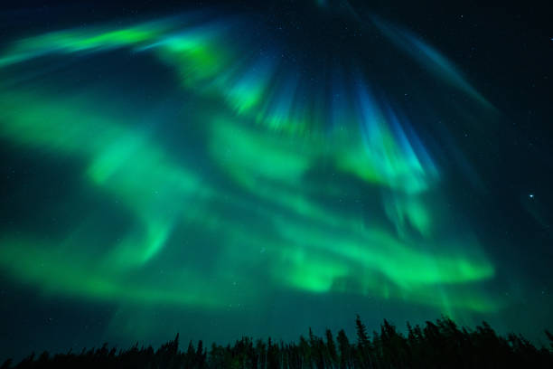 istock Northern Light in Yellowknife 1812008055