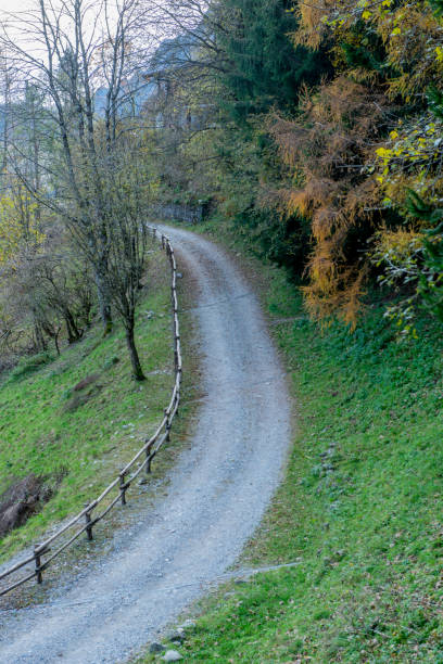 istock Country road in the woods 1812052975