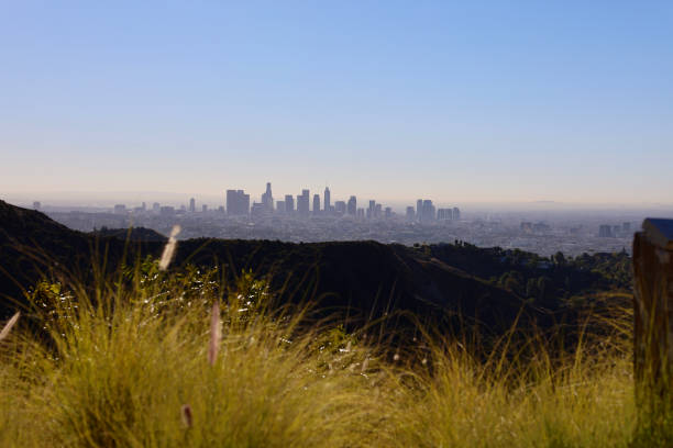 istock Los Angeles downtown skyline in the distance 1812058872