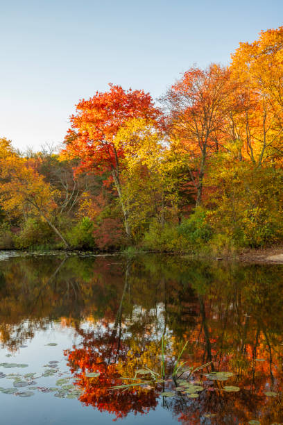 istock Autumn scenery at French Creek State Park 1812086800