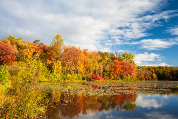istock Autumn scenery at French Creek State Park 1812087843