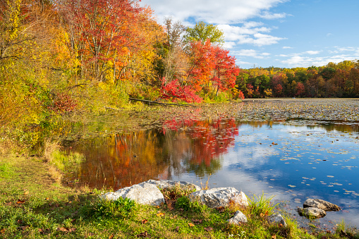 Autumn scenery at French Creek State Park, Pennsylvania, USA