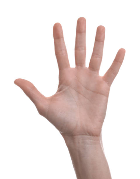 istock Woman giving high five on white background, closeup 1812122827