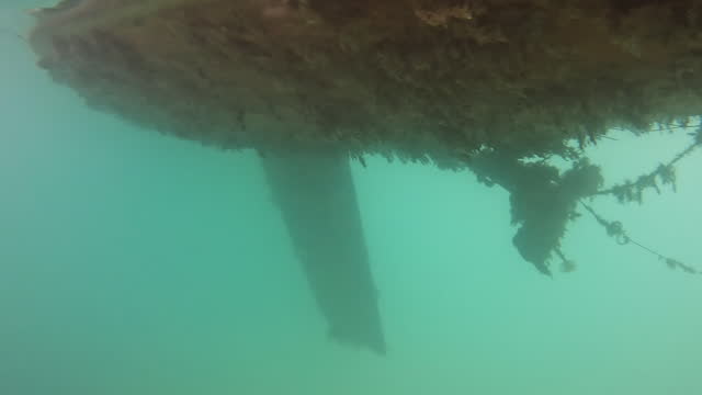 Heavy Algae Overgrown on the lower part of a Sailboat Underwater