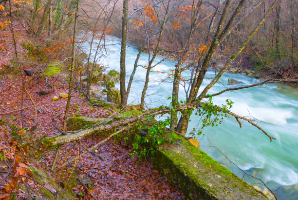 istock emerald  river rushing through mountain canyon, autumn mountain river scene 1812133925