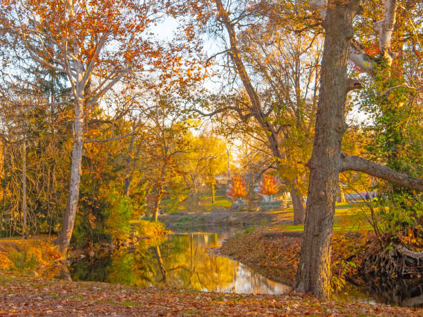 istock Fall leaf color reflected in a small stream- Howard County, Indiana 1812144677