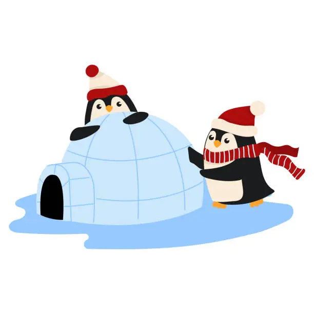 Vector illustration of Two cute cartoon style penguins making an igloo from snow.