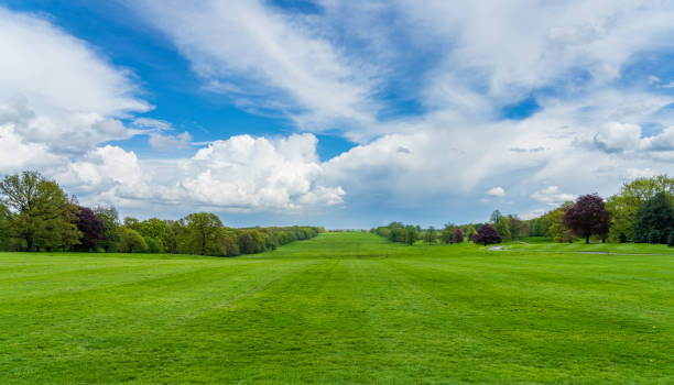 istock Wide parkland in England with dramatic sky 1812163553