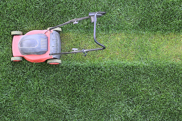 istock Grass cutter at the lawn 181216671
