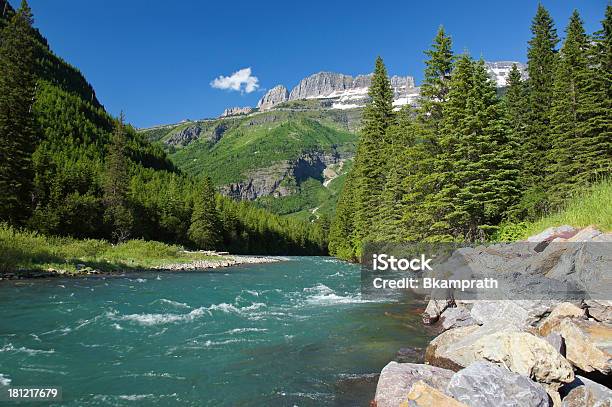 Ghiacciaio Di Flusso - Fotografie stock e altre immagini di Acqua - Acqua, Acqua potabile, Albero