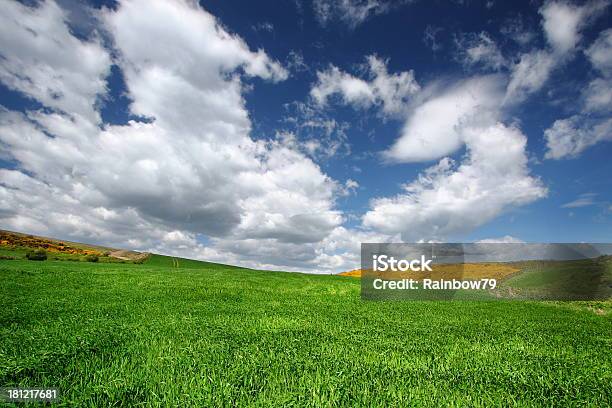 Meadow - Fotografie stock e altre immagini di Agricoltura - Agricoltura, Ambientazione esterna, Ambientazione tranquilla