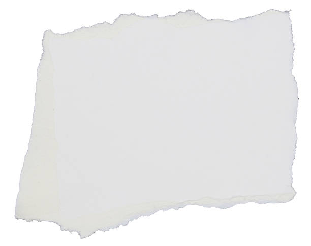 istock a sheet of paper torn to pieces isolated on white background 1812219629