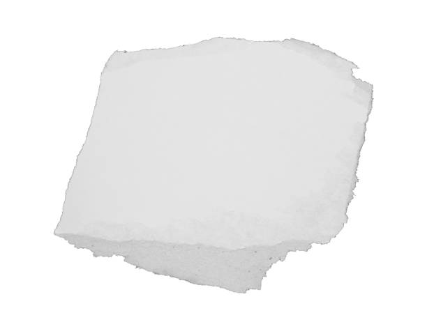istock a sheet of paper torn to pieces isolated on white background 1812219631