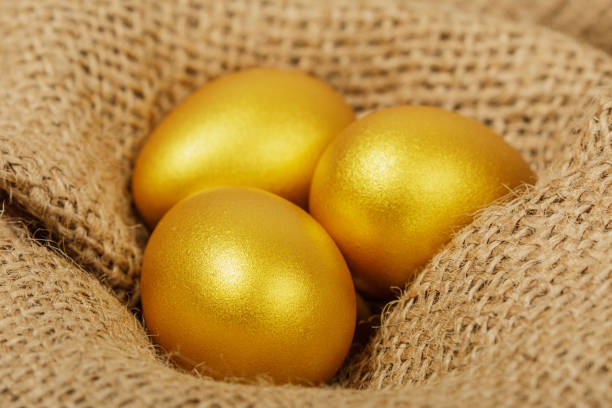 istock Golden Eggs representing, wealth, retirement, savings, etc with copy space 1812248804