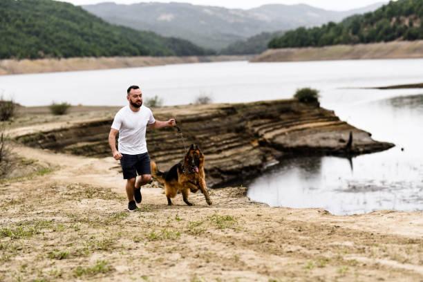 mężczyzna uprawiający jogging ze swoim owczarkiem niemieckim - men jogging running sports training zdjęcia i obrazy z banku zdjęć