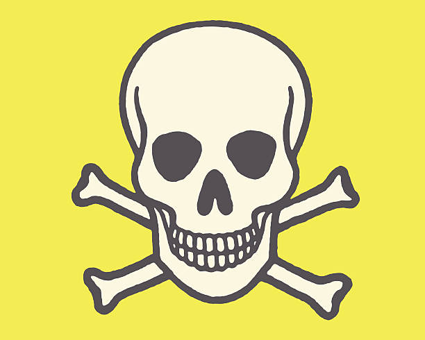 Skull and Crossbones Skull and Crossbones skull and crossbones stock illustrations