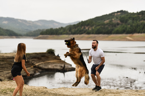 Couple Teaching Their Dog To Catch Tennis Ball