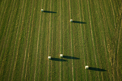 Aerial view of bales on an agricultural field in the village of Custer, Montana on a clear day in Fall.