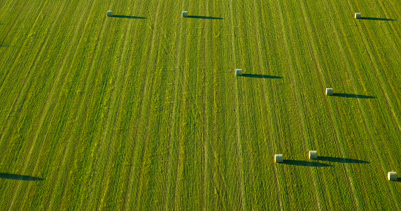 Aerial view of bales on an agricultural field in the village of Custer, Montana on a clear day in Fall.