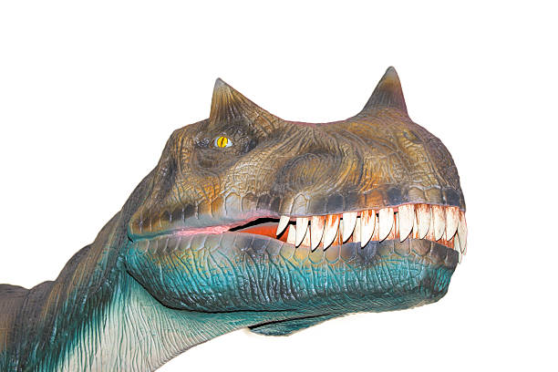 istock Scary isolated dino dinosaurs T rex 181226132