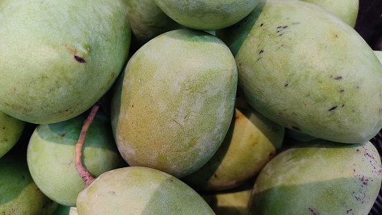 Green COlor mango