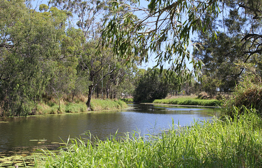 Police Creek with water, grass and trees in Gladstone, Queensland, Australia