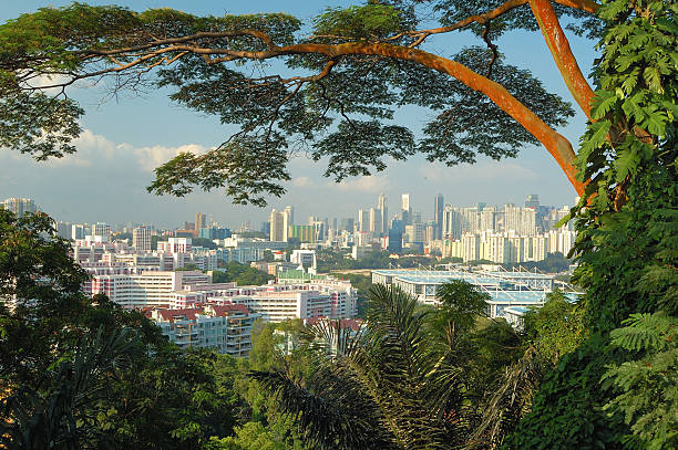 istock View on Singapore from Mount Faber 181229180