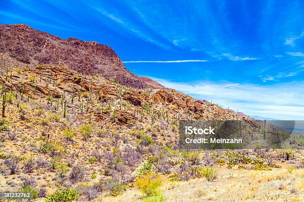 Piękny Górski Krajobraz Pustyni Z Kaktusów - zdjęcia stockowe i więcej obrazów Bez ludzi - Bez ludzi, Botanika, Brown Mountain