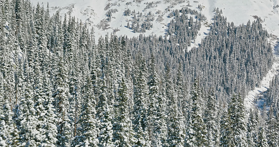 Aerial still image of a snowcapped forest in Clear Creek County, taken by a drone on a cold, Fall morning near Loveland Pass, Dillon, Colorado.