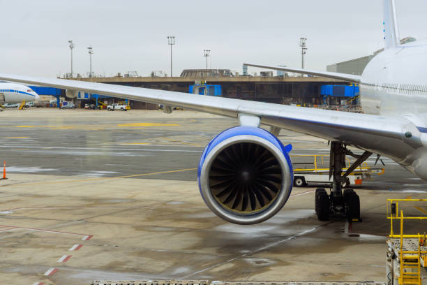 istock Several passenger planes are being serviced by ground services before next takeoff near boarding gate bridge. 1812359330