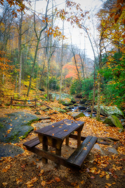 Autumn Mountain Picnic stock photo