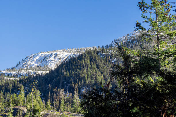 istock Sea to sky gondola 1812398362
