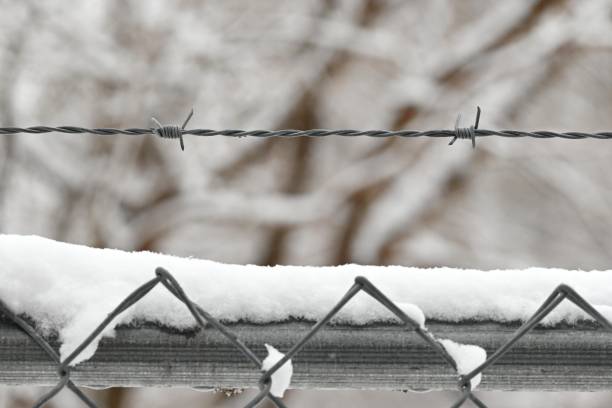 istock Close-up of barbed wire with snow. 1812439399