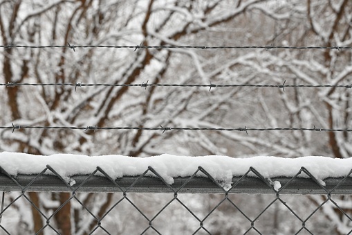 Barbed wire fence with snow.