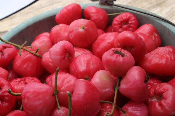 istock Water apples freshly harvested from a garden 1812508625